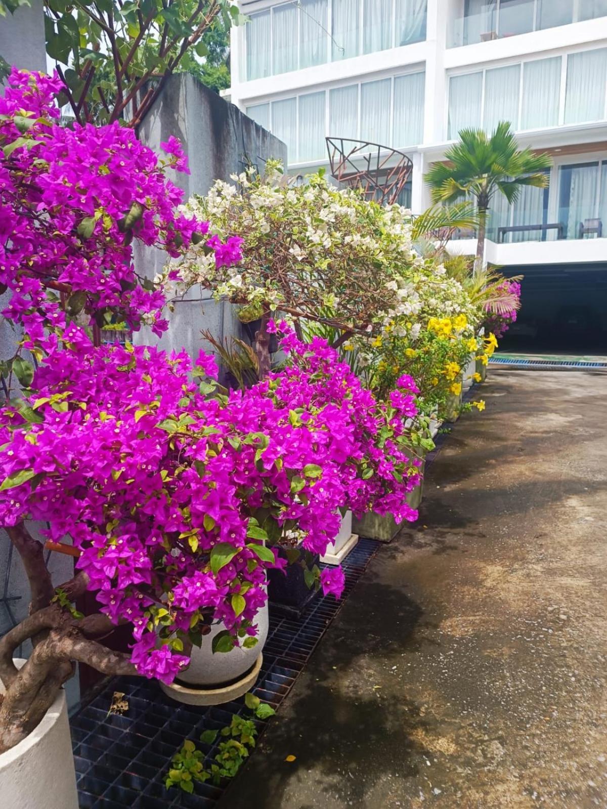Appartamento Smart Conzept 2Bdr Kata Beach  Esterno foto